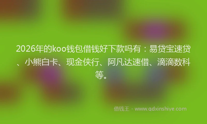 2026年的koo钱包借钱好下款吗有：易贷宝速贷、小熊白卡、现金侠行、阿凡达速借、滴滴数科等。