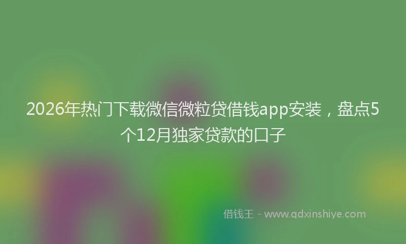 2026年热门下载微信微粒贷借钱app安装，盘点5个12月独家贷款的口子