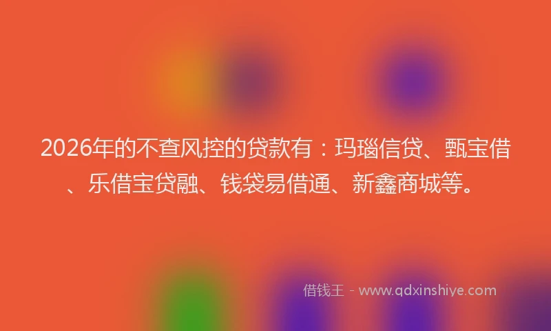 2026年的不查风控的贷款有：玛瑙信贷、甄宝借、乐借宝贷融、钱袋易借通、新鑫商城等。