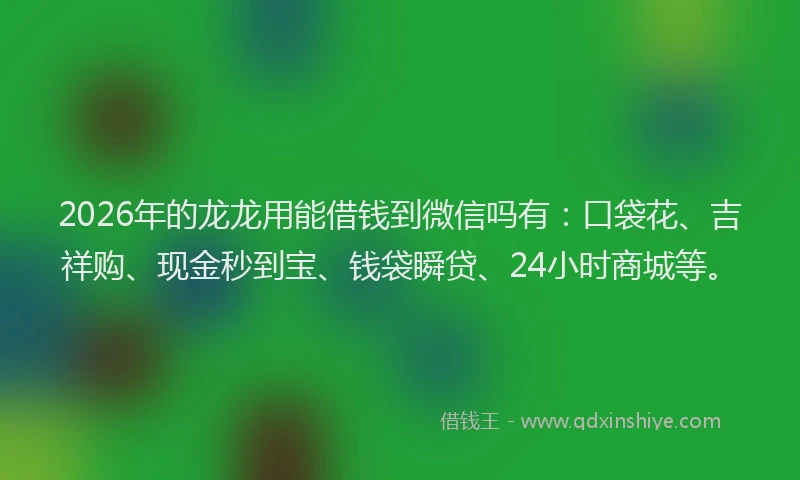 2026年的龙龙用能借钱到微信吗有：口袋花、吉祥购、现金秒到宝、钱袋瞬贷、24小时商城等。