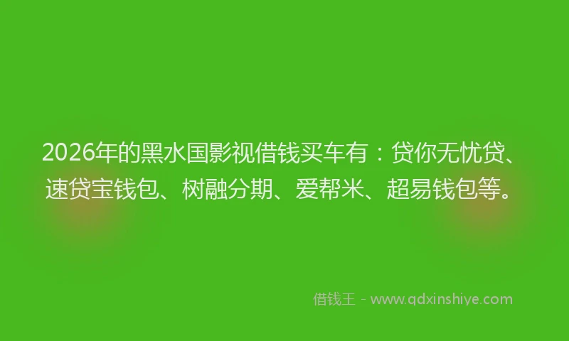 2026年的黑水国影视借钱买车有：贷你无忧贷、速贷宝钱包、树融分期、爱帮米、超易钱包等。