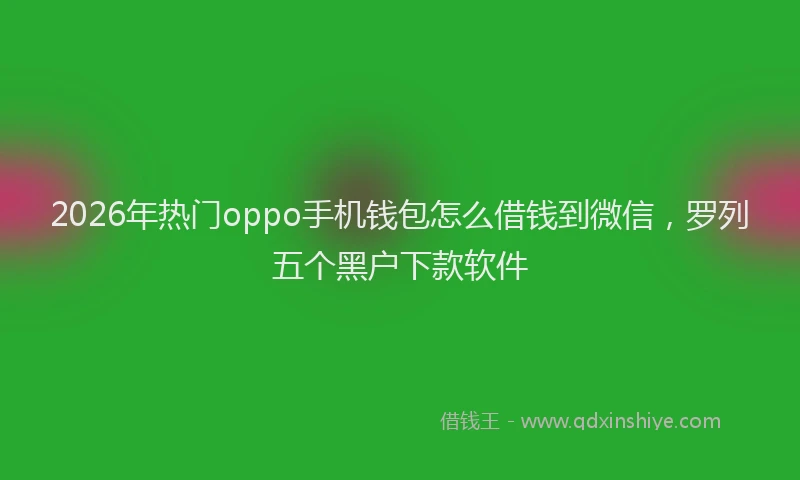 2026年热门oppo手机钱包怎么借钱到微信，罗列五个黑户下款软件