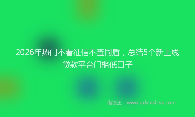 2026年热门不看征信不查同盾，总结5个新上线贷款平台门槛低口子
