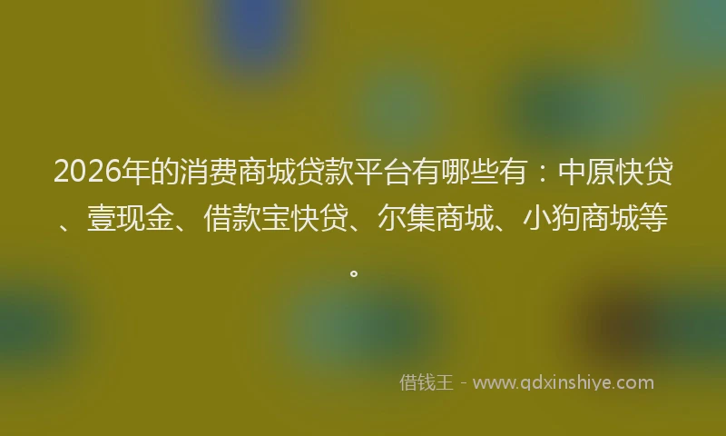 2026年的消费商城贷款平台有哪些有：中原快贷、壹现金、借款宝快贷、尔集商城、小狗商城等。