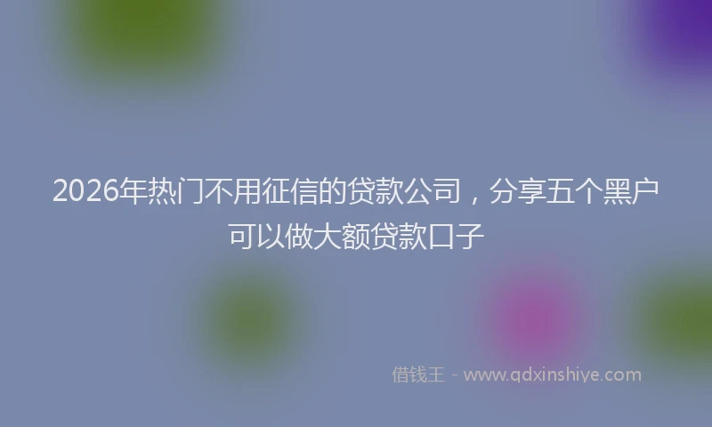 2026年热门不用征信的贷款公司，分享五个黑户可以做大额贷款口子