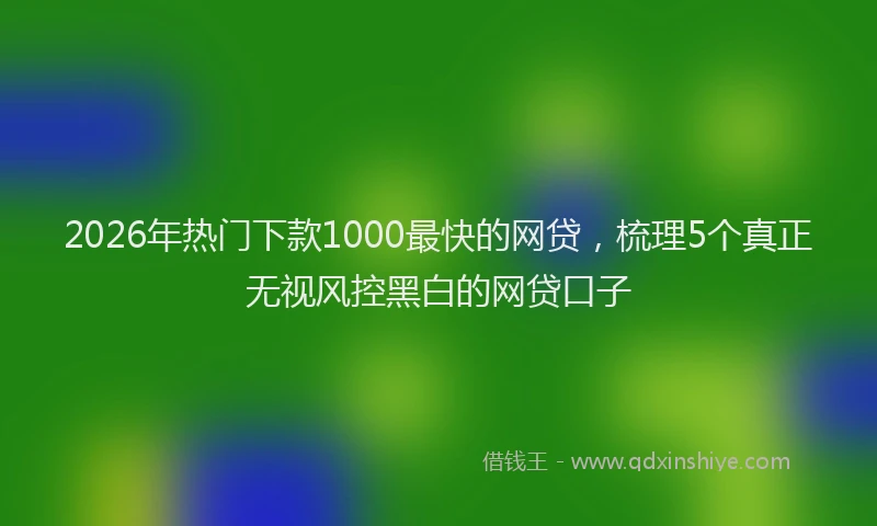 2026年热门下款1000最快的网贷，梳理5个真正无视风控黑白的网贷口子