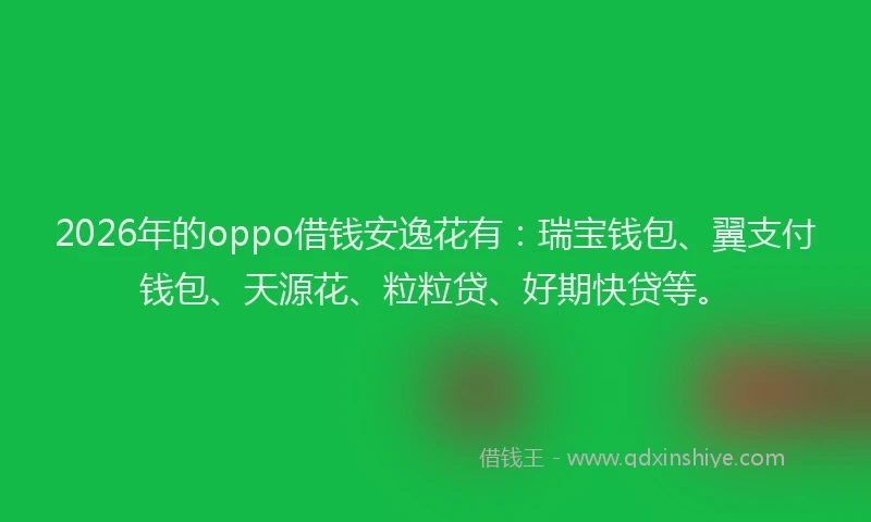 2026年的oppo借钱安逸花有：瑞宝钱包、翼支付钱包、天源花、粒粒贷、好期快贷等。