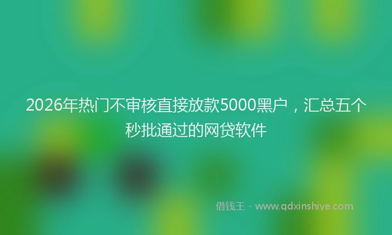 2026年热门不审核直接放款5000黑户，汇总五个秒批通过的网贷软件