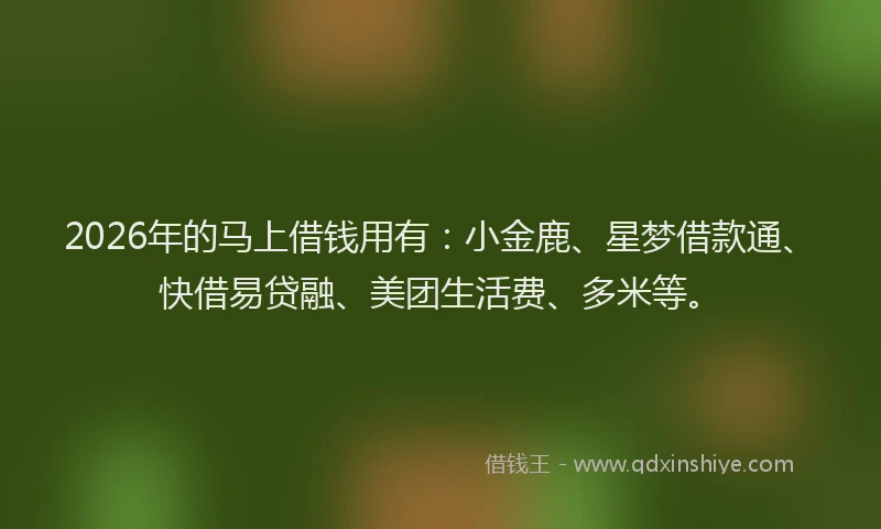 2026年的马上借钱用有：小金鹿、星梦借款通、快借易贷融、美团生活费、多米等。