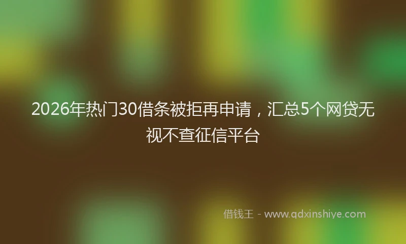2026年热门30借条被拒再申请，汇总5个网贷无视不查征信平台