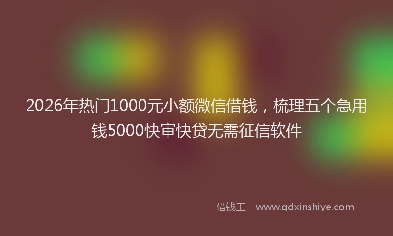 2026年热门1000元小额微信借钱，梳理五个急用钱5000快审快贷无需征信软件