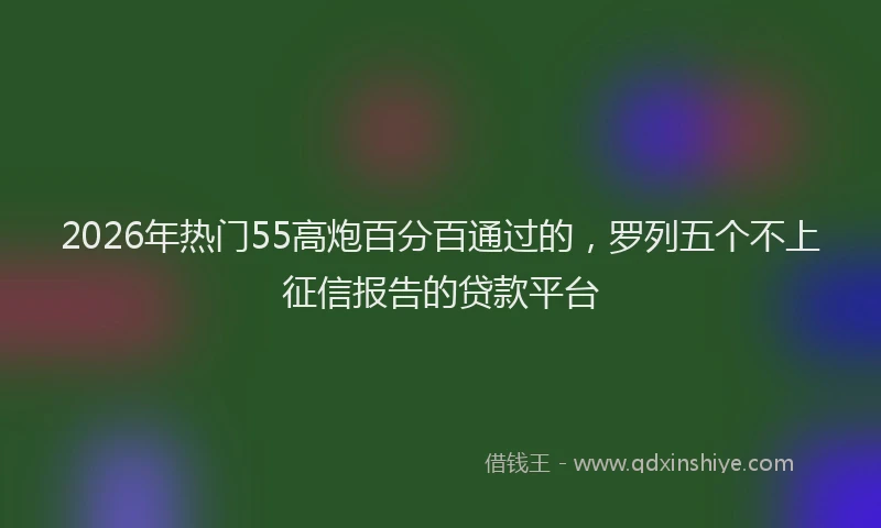 2026年热门55高炮百分百通过的，罗列五个不上征信报告的贷款平台