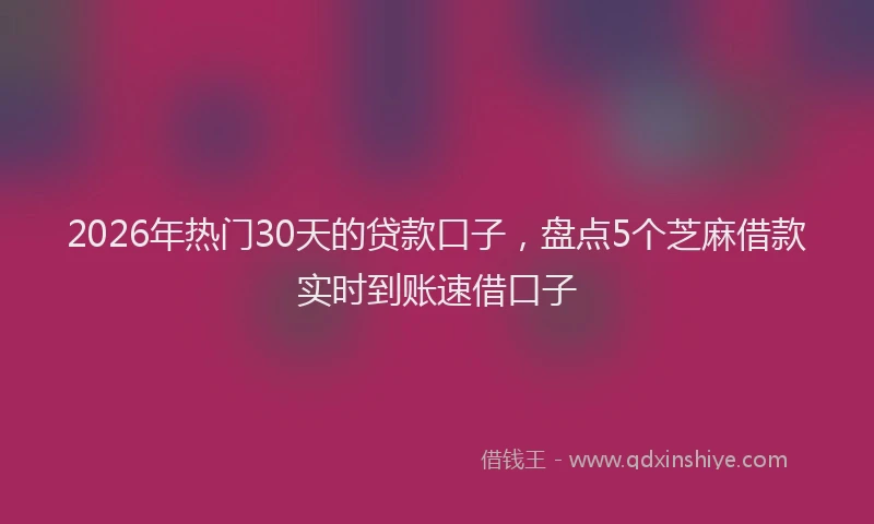 2026年热门30天的贷款口子，盘点5个芝麻借款实时到账速借口子