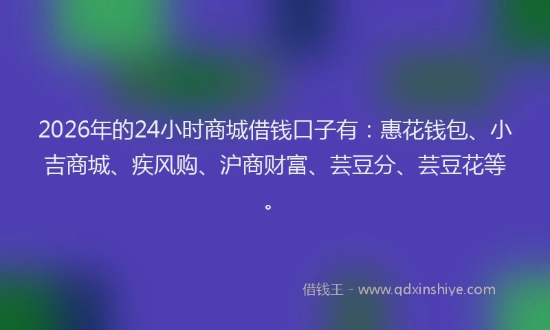 2026年的24小时商城借钱口子有：惠花钱包、小吉商城、疾风购、沪商财富、芸豆分、芸豆花等。