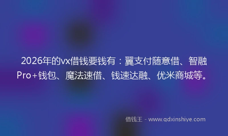 2026年的vx借钱要钱有：翼支付随意借、智融Pro+钱包、魔法速借、钱速达融、优米商城等。