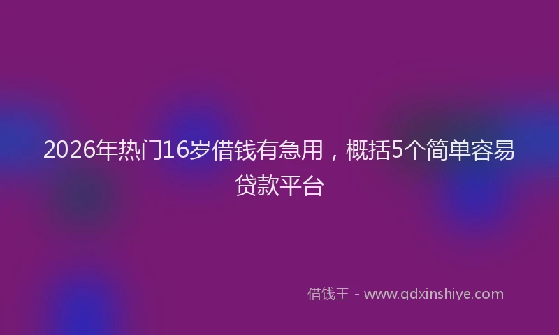 2026年热门16岁借钱有急用，概括5个简单容易贷款平台