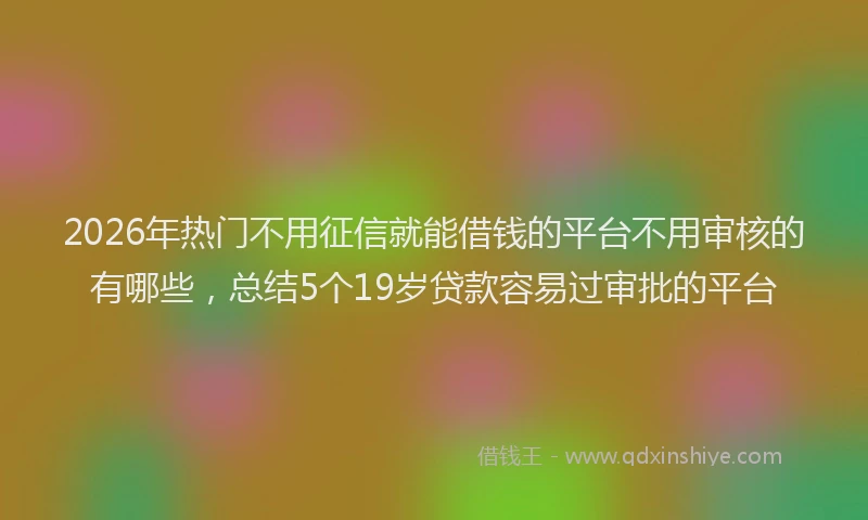 2026年热门不用征信就能借钱的平台不用审核的有哪些，总结5个19岁贷款容易过审批的平台