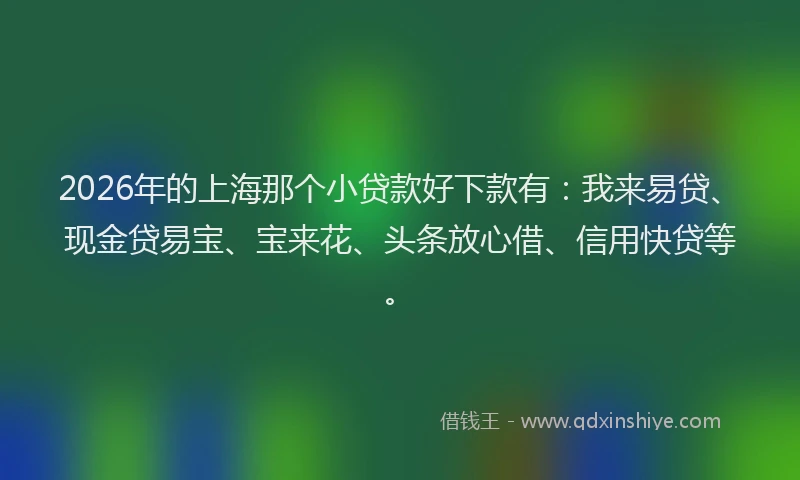 2026年的上海那个小贷款好下款有：我来易贷、现金贷易宝、宝来花、头条放心借、信用快贷等。