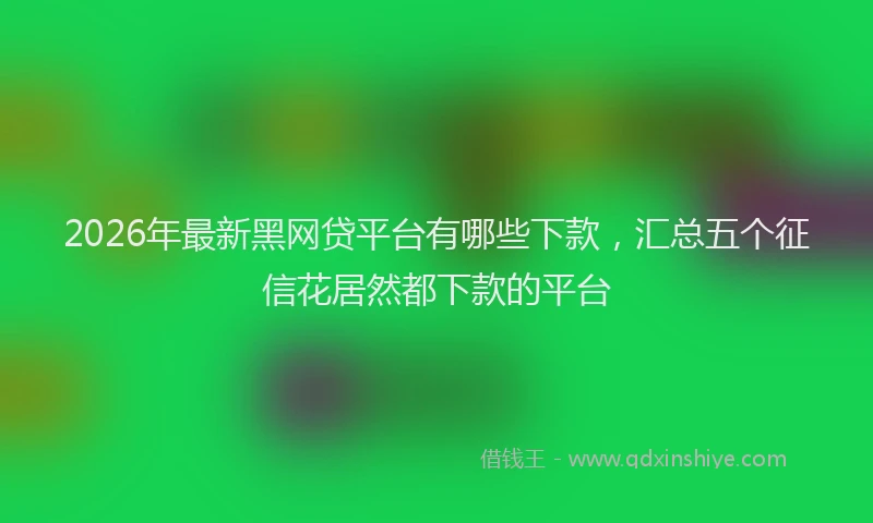 2026年最新黑网贷平台有哪些下款，汇总五个征信花居然都下款的平台