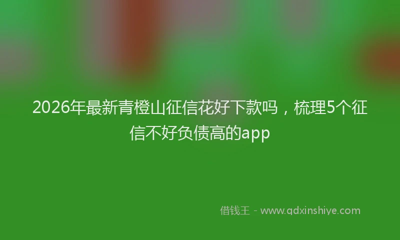 2026年最新青橙山征信花好下款吗，梳理5个征信不好负债高的app