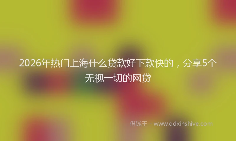 2026年热门上海什么贷款好下款快的，分享5个无视一切的网贷