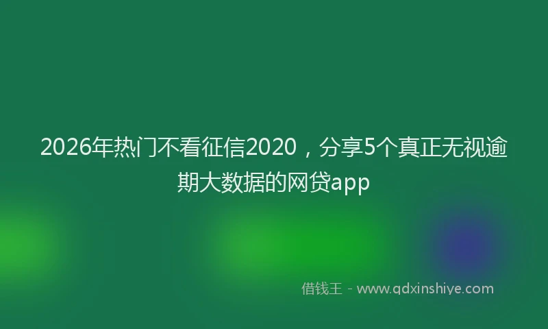2026年热门不看征信2020，分享5个真正无视逾期大数据的网贷app