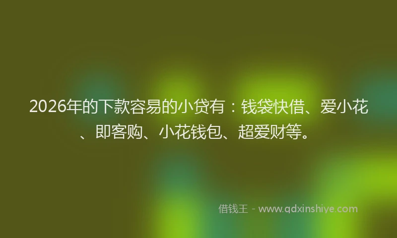 2026年的下款容易的小贷有：钱袋快借、爱小花、即客购、小花钱包、超爱财等。