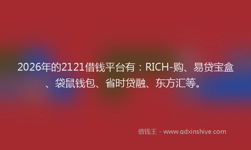 2026年的2121借钱平台有：RICH-购、易贷宝盒、袋鼠钱包、省时贷融、东方汇等。