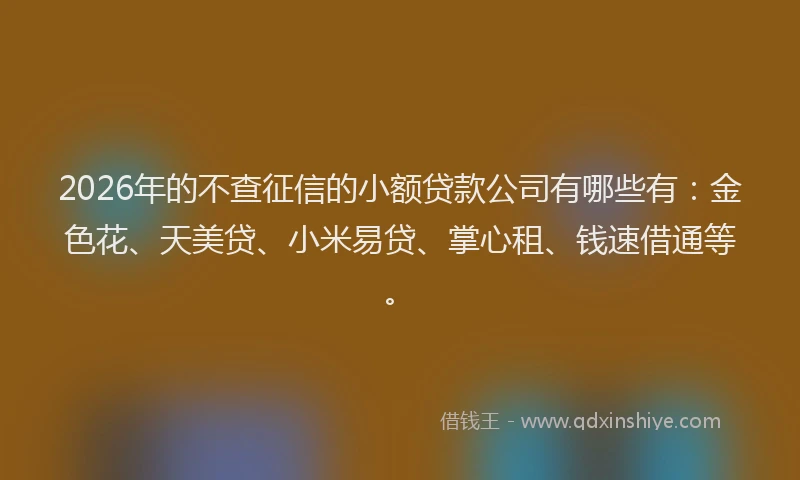 2026年的不查征信的小额贷款公司有哪些有：金色花、天美贷、小米易贷、掌心租、钱速借通等。