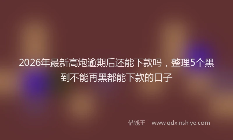 2026年最新高炮逾期后还能下款吗，整理5个黑到不能再黑都能下款的口子