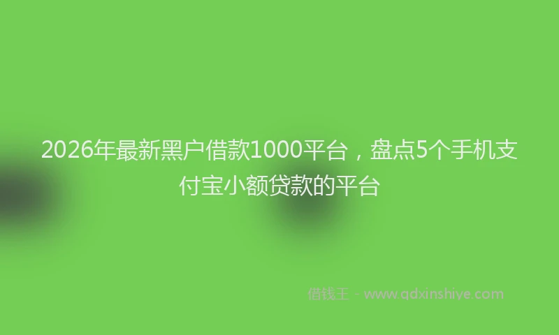 2026年最新黑户借款1000平台，盘点5个手机支付宝小额贷款的平台
