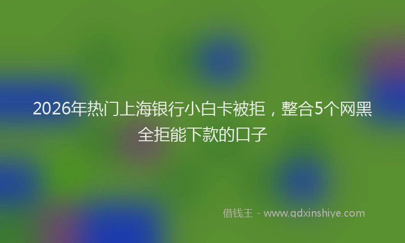 2026年热门上海银行小白卡被拒，整合5个网黑全拒能下款的口子