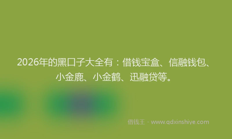 2026年的黑口子大全有：借钱宝盒、信融钱包、小金鹿、小金鹤、迅融贷等。