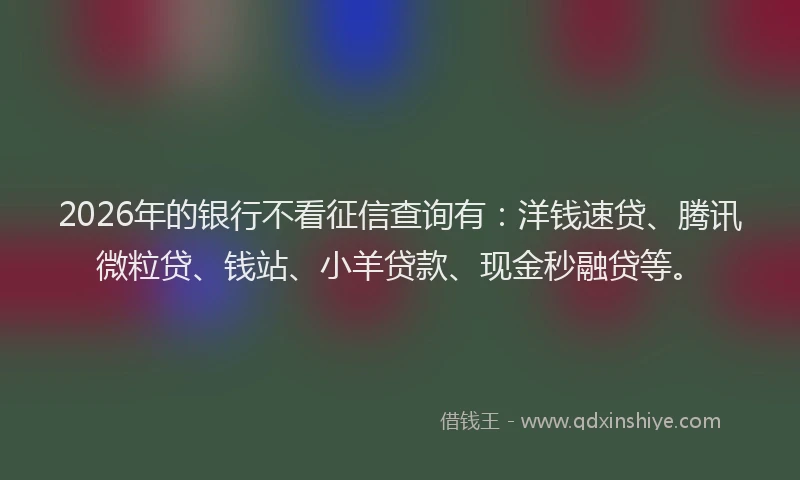2026年的银行不看征信查询有：洋钱速贷、腾讯微粒贷、钱站、小羊贷款、现金秒融贷等。