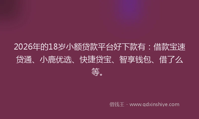 2026年的18岁小额贷款平台好下款有：借款宝速贷通、小鹿优选、快捷贷宝、智享钱包、借了么等。