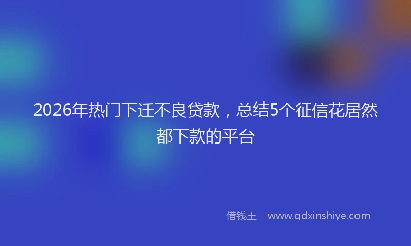 2026年热门下迁不良贷款，总结5个征信花居然都下款的平台