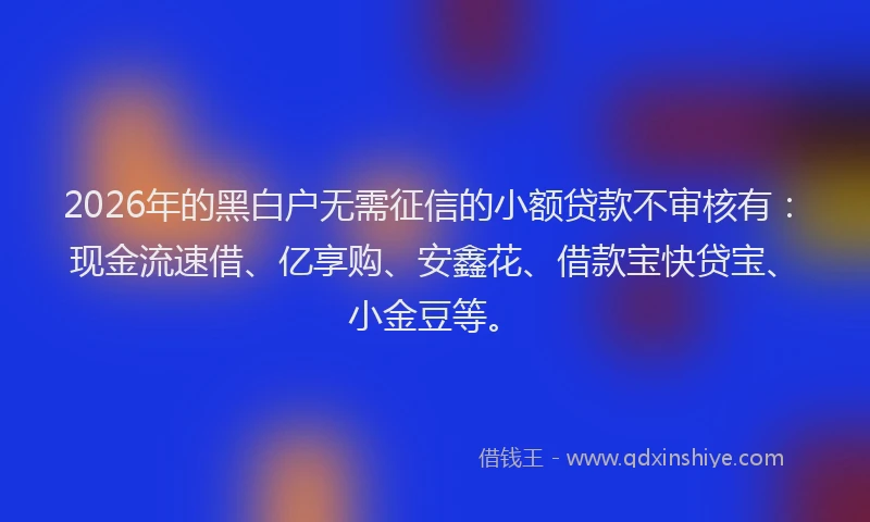 2026年的黑白户无需征信的小额贷款不审核有：现金流速借、亿享购、安鑫花、借款宝快贷宝、小金豆等。
