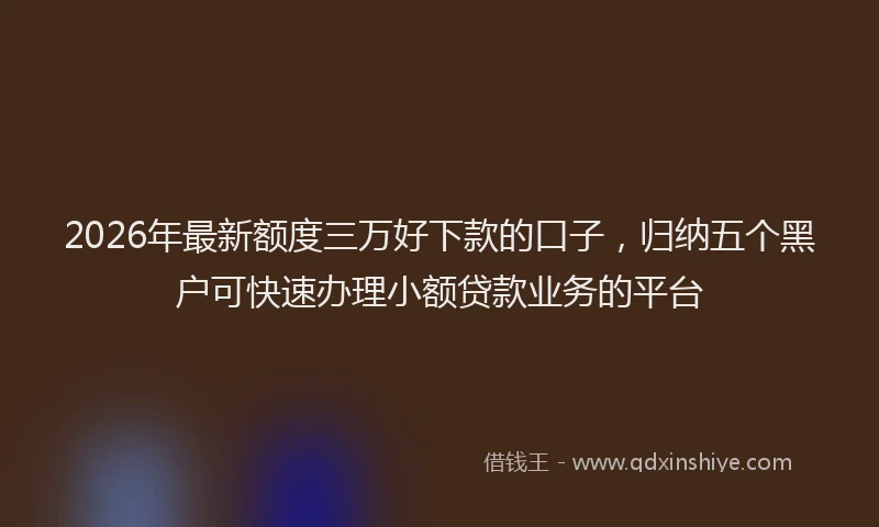 2026年最新额度三万好下款的口子，归纳五个黑户可快速办理小额贷款业务的平台