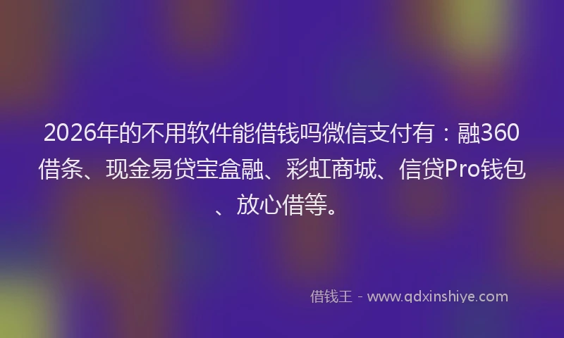 2026年的不用软件能借钱吗微信支付有：融360借条、现金易贷宝盒融、彩虹商城、信贷Pro钱包、放心借等。