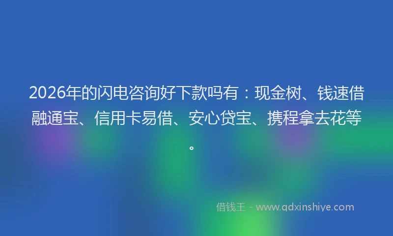 2026年的闪电咨询好下款吗有：现金树、钱速借融通宝、信用卡易借、安心贷宝、携程拿去花等。