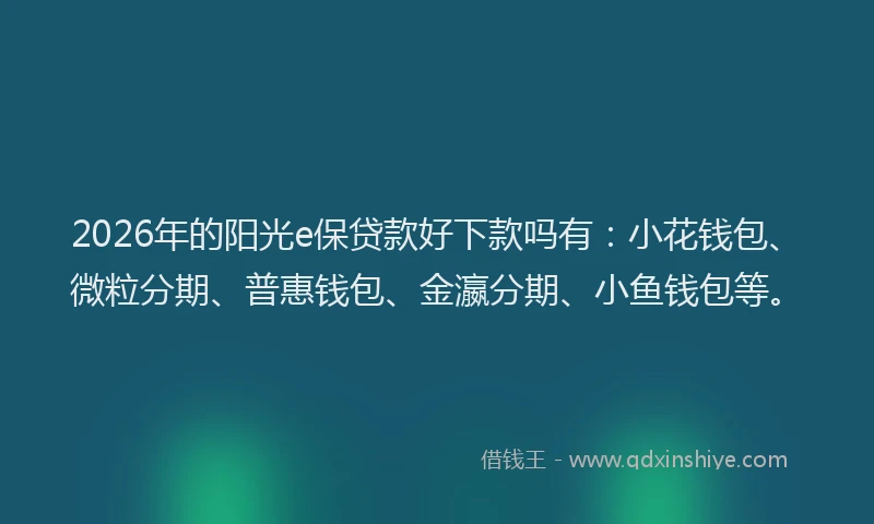 2026年的阳光e保贷款好下款吗有：小花钱包、微粒分期、普惠钱包、金瀛分期、小鱼钱包等。