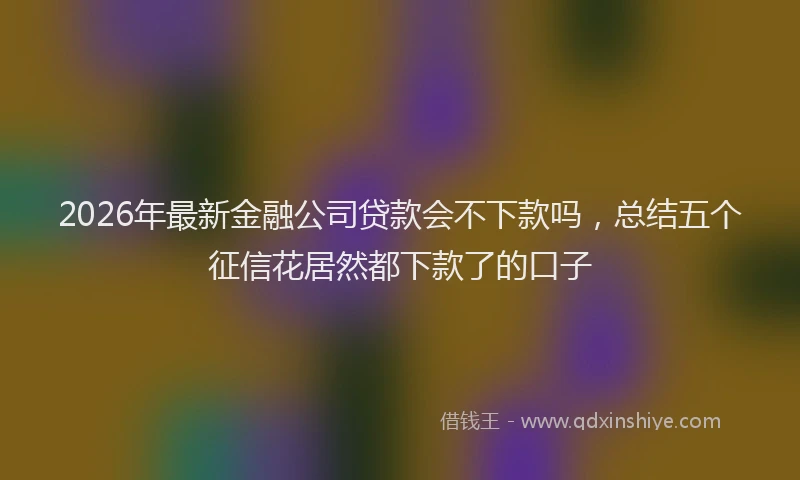 2026年最新金融公司贷款会不下款吗，总结五个征信花居然都下款了的口子