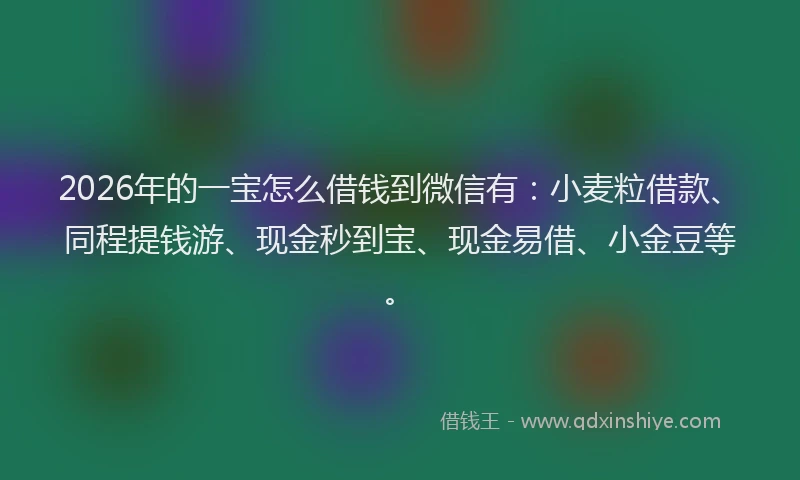 2026年的一宝怎么借钱到微信有：小麦粒借款、同程提钱游、现金秒到宝、现金易借、小金豆等。