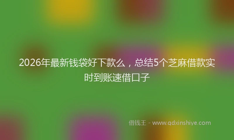 2026年最新钱袋好下款么，总结5个芝麻借款实时到账速借口子