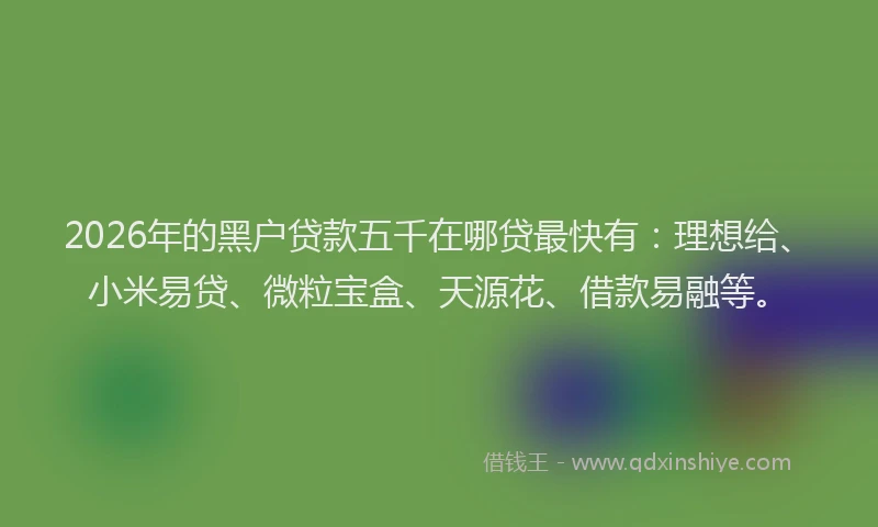 2026年的黑户贷款五千在哪贷最快有：理想给、小米易贷、微粒宝盒、天源花、借款易融等。