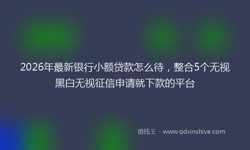 2026年最新银行小额贷款怎么待，整合5个无视黑白无视征信申请就下款的平台