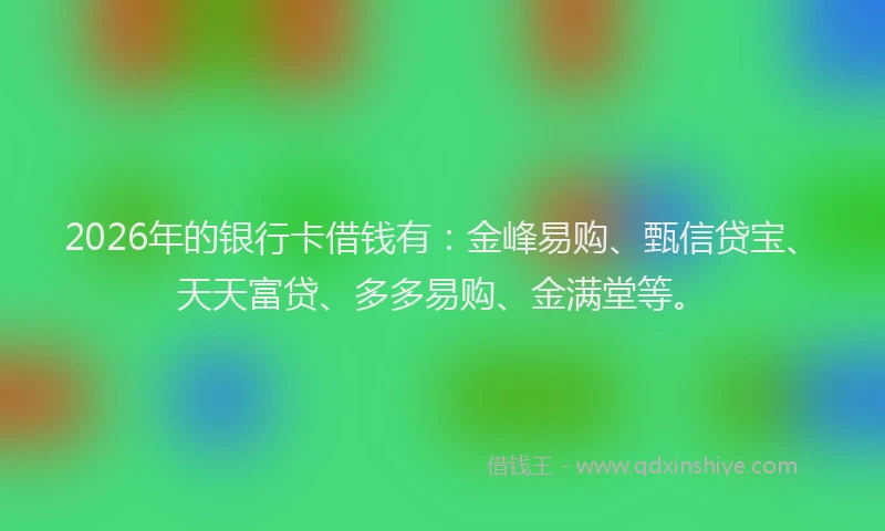 2026年的银行卡借钱有：金峰易购、甄信贷宝、天天富贷、多多易购、金满堂等。