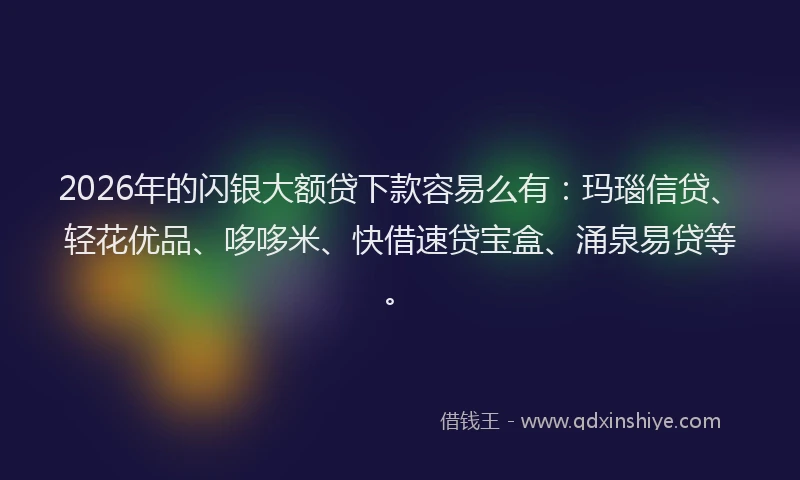2026年的闪银大额贷下款容易么有：玛瑙信贷、轻花优品、哆哆米、快借速贷宝盒、涌泉易贷等。