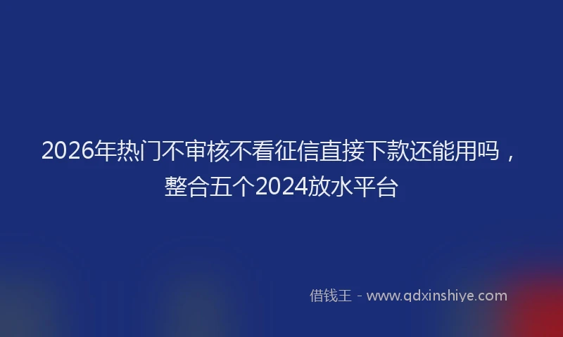 2026年热门不审核不看征信直接下款还能用吗，整合五个2024放水平台