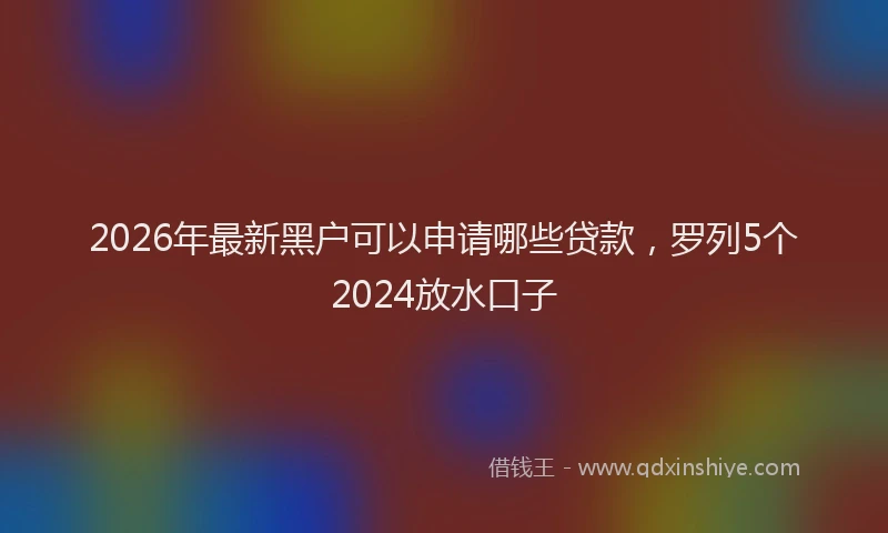 2026年最新黑户可以申请哪些贷款，罗列5个2024放水口子